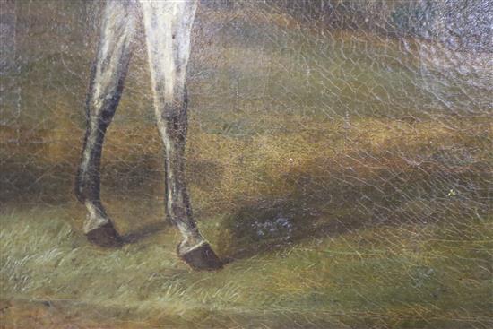 J.W. Webb. 19th century English School, oil on canvas, Dapple grey horse in a landscape, signed, 63 x 76cm
